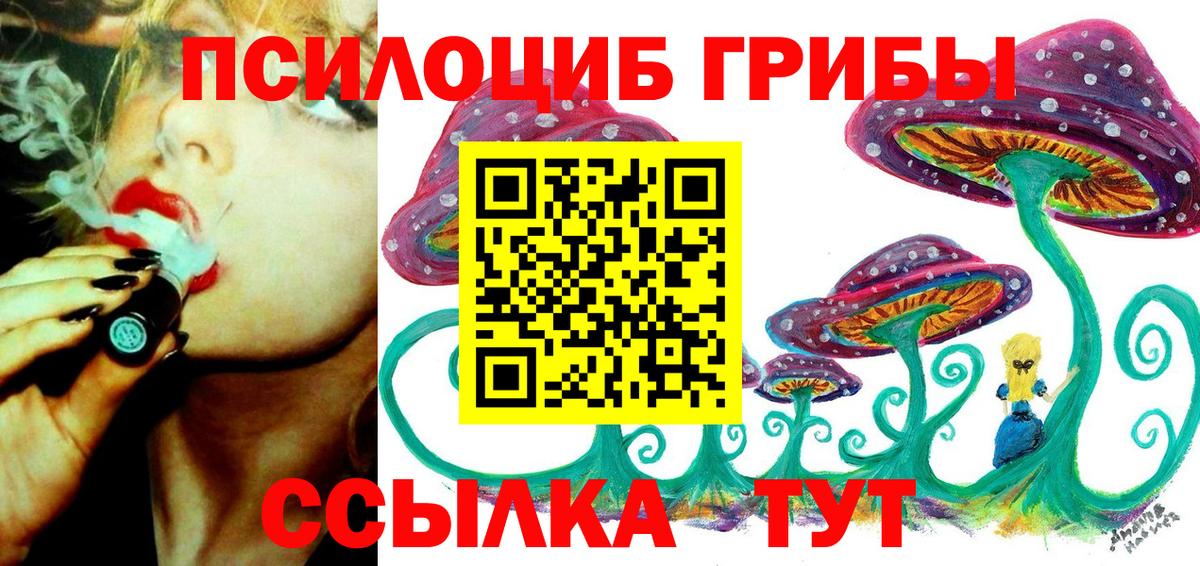 Галлюциногенные грибы GOLDEN TEACHER  Псилоцибиновые грибы прущие грибы  Вход с VPN  Дубна 