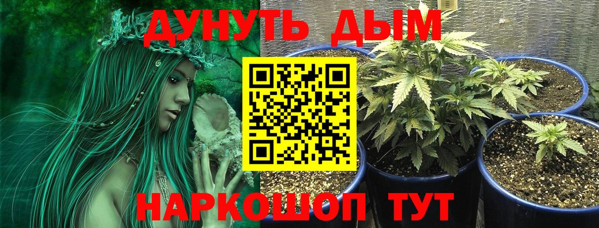 Конопля гибрид Дубна